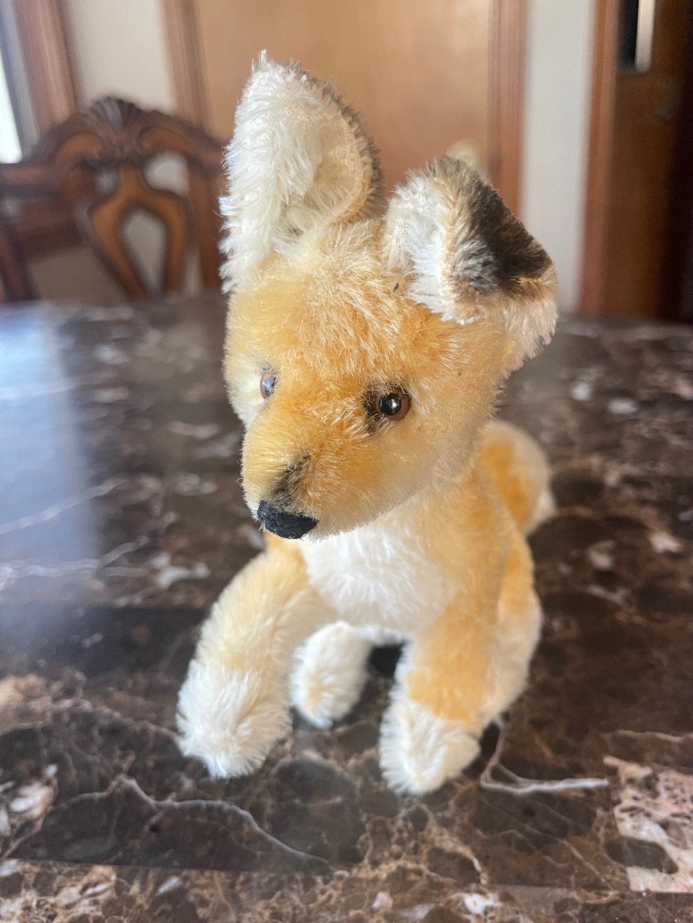 Little Fox